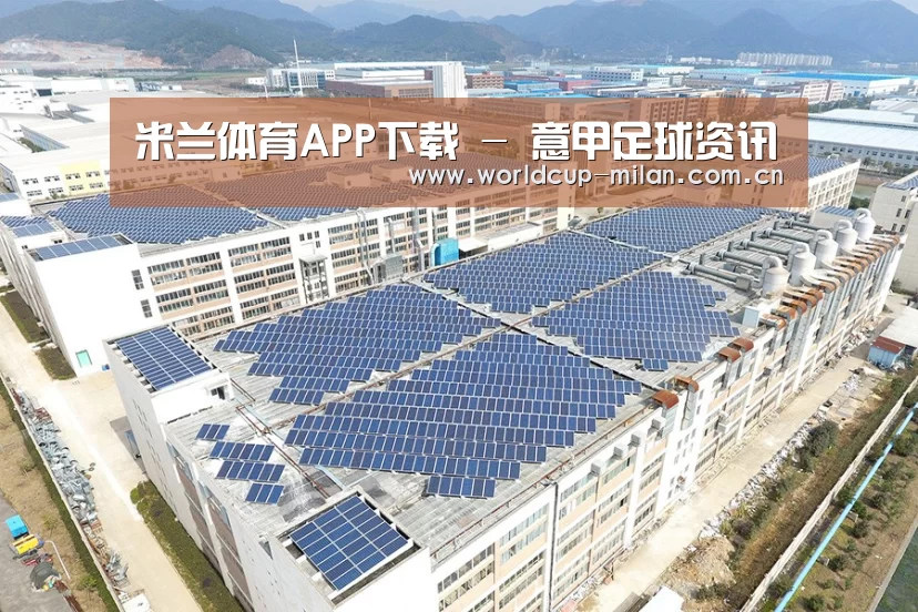 案例展示一