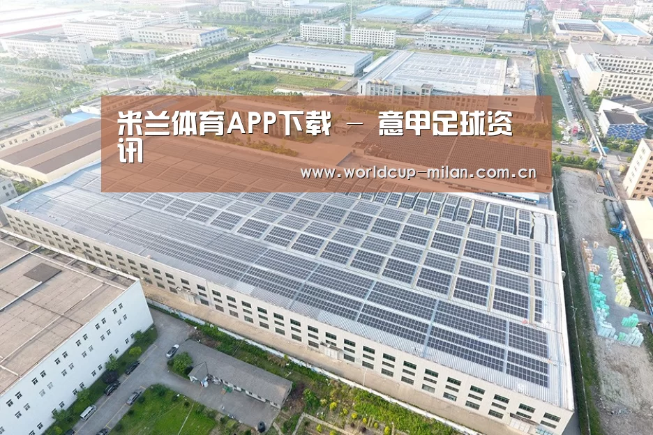 案例展示二