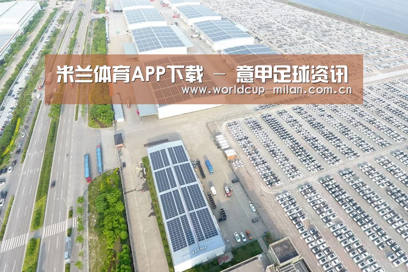案例展示四