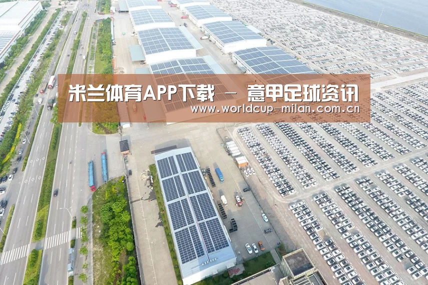 案例展示三