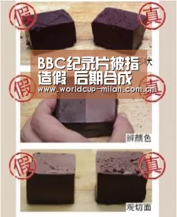 BBC纪录片被指造假 后期合成火山喷发画面(图)“米兰体育app网址”(图1) 米兰体育app网址